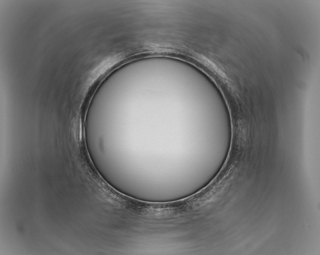 X0000110951269200907101300