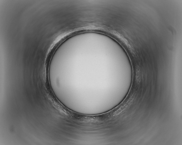 X0000110951270200907101300