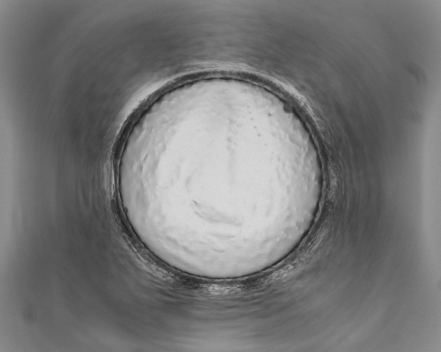 X0000110951271200907101300