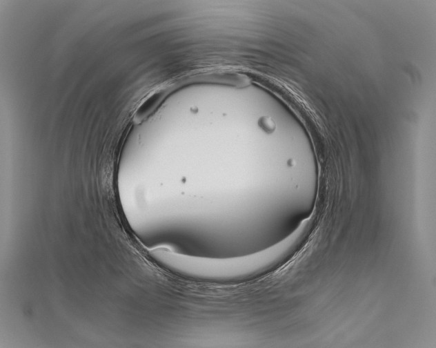 X0000110951273200907101300