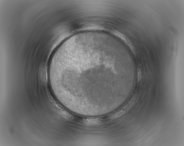 X0000110951274200907101300