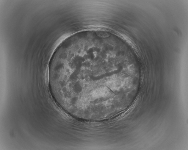 X0000110951275200907101300