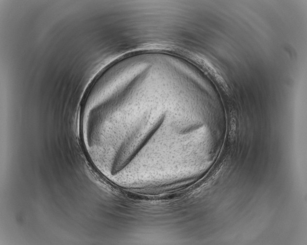 X0000110951276200907101259