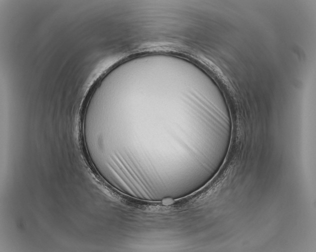 X0000110951277200907101259