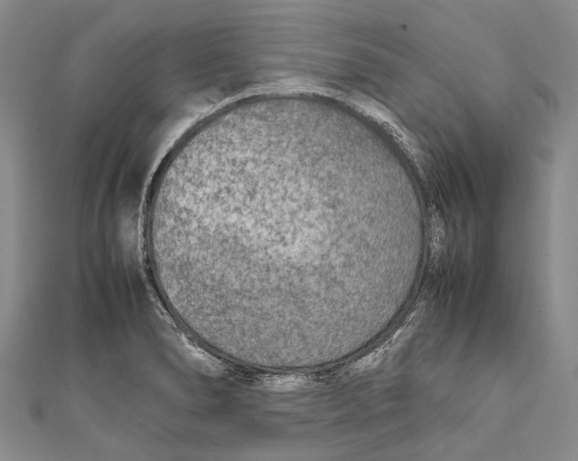 X0000110951278200907101259