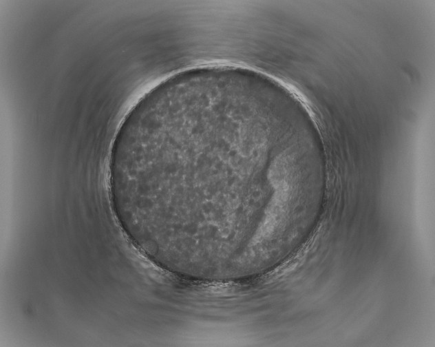 X0000110951279200907101259