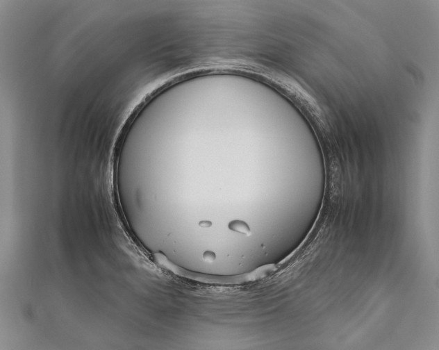 X0000110951280200907101259