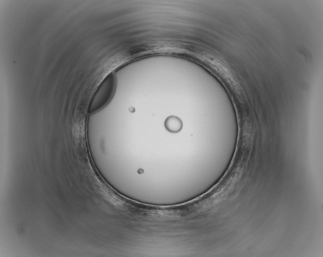 X0000110951281200907101259