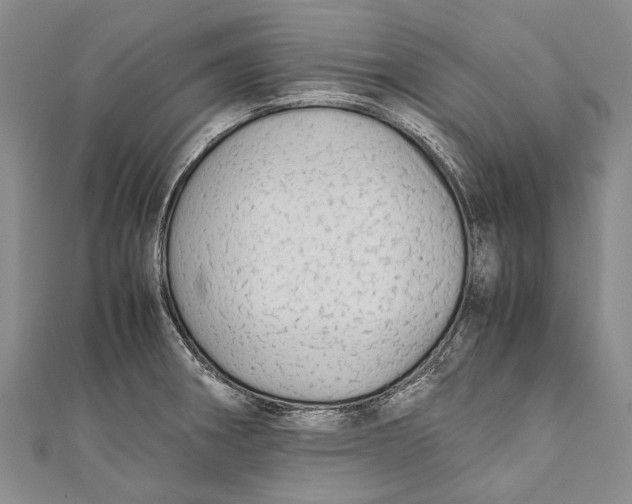 X0000110951282200907101259