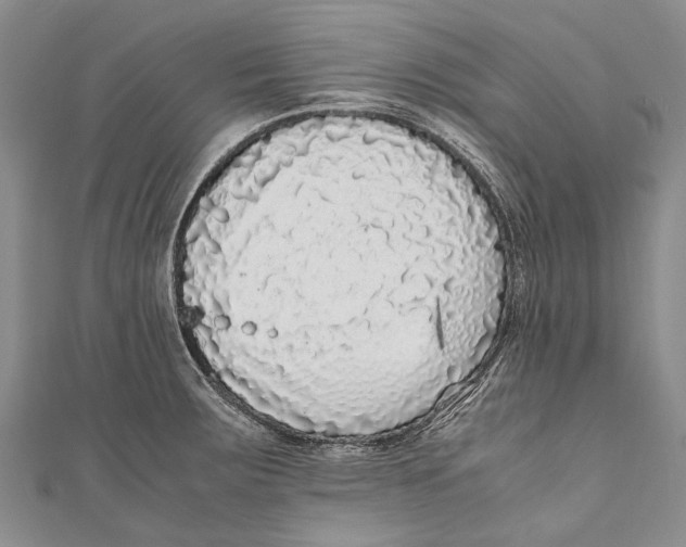 X0000110951283200907101259