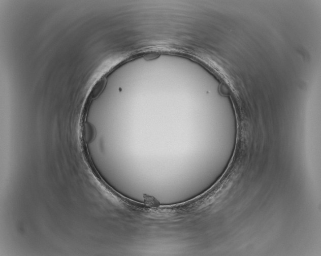 X0000110951285200907101259