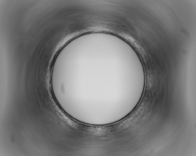 X0000110951286200907101259