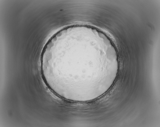 X0000110951287200907101259