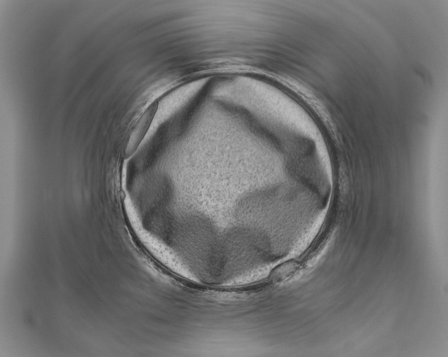 X0000110951289200907101259