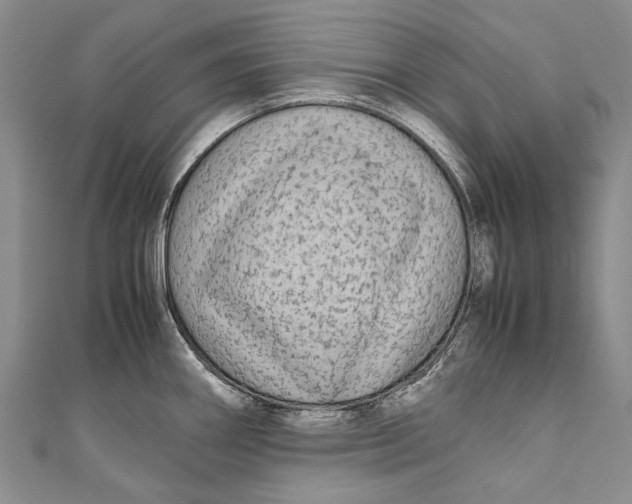 X0000110951290200907101259