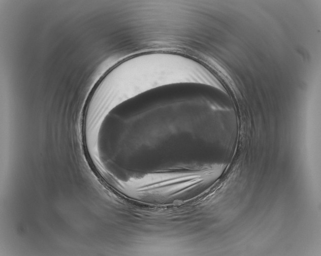 X0000110951291200907101259