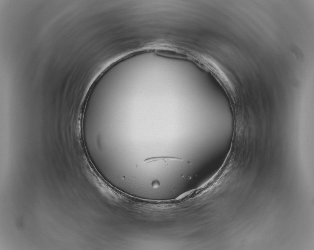 X0000110951292200907101259