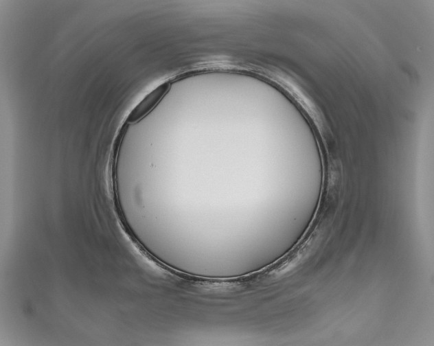 X0000110951293200907101259