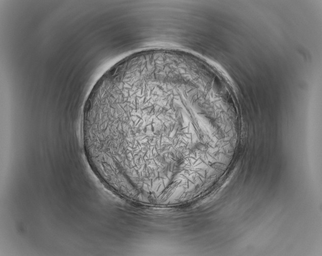 X0000110951295200907101259