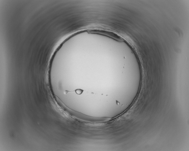 X0000110951296200907101259