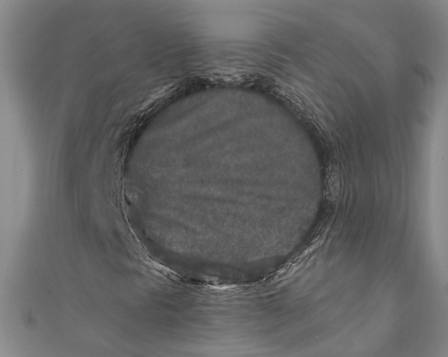 X0000110951297200907101259