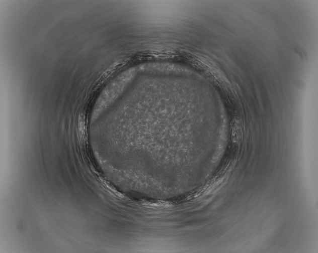 X0000110951298200907101259