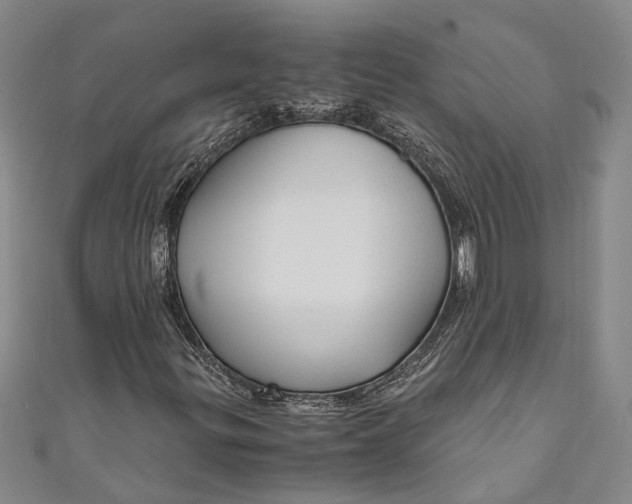 X0000110951299200907101259