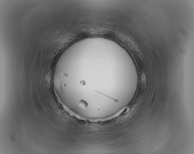 X0000110951300200907101259