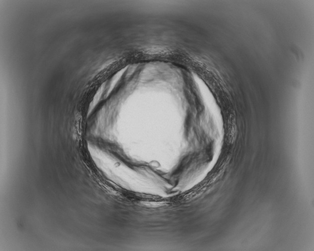 X0000110951301200907101259