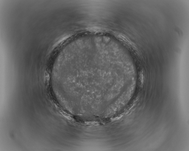 X0000110951302200907101259