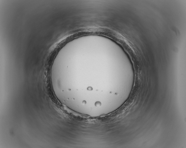 X0000110951304200907101259