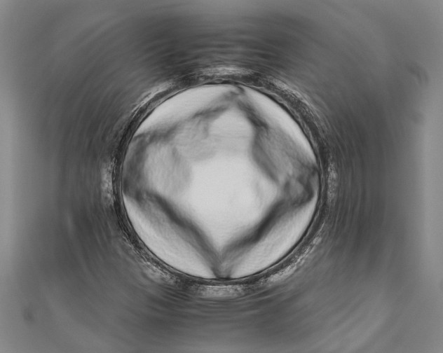 X0000110951305200907101259