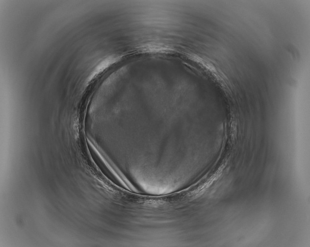 X0000110951306200907101259