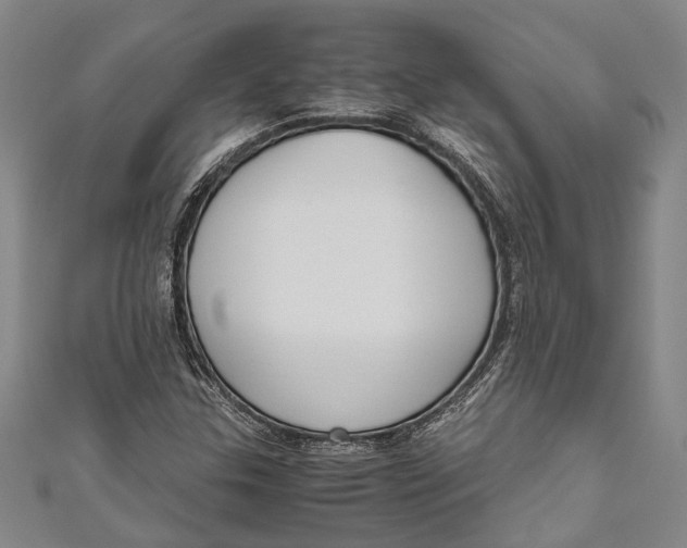 X0000110951307200907101259