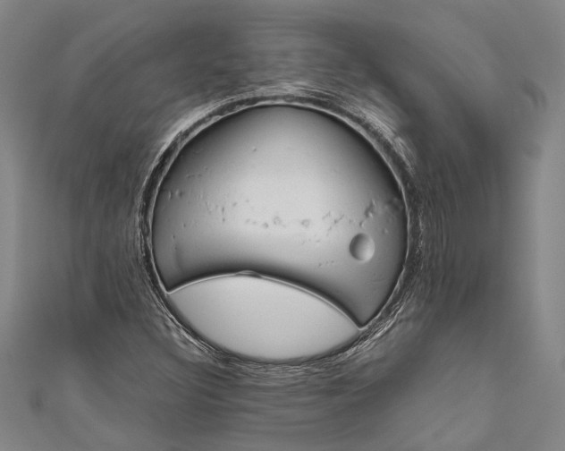 X0000110951308200907101259