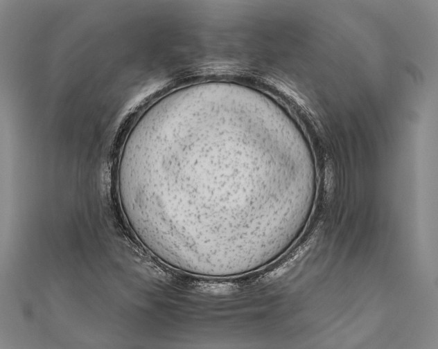 X0000110951309200907101259