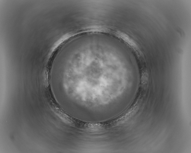 X0000110951310200907101259