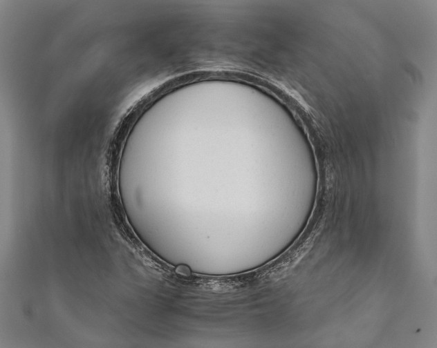 X0000110951311200907101259