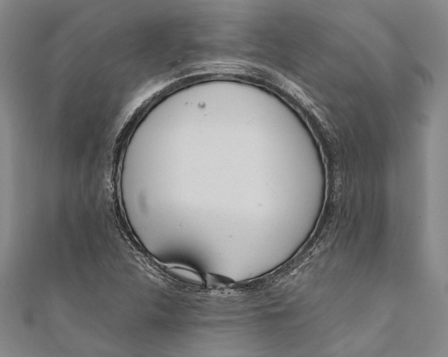 X0000110951312200907101259