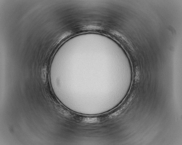 X0000110951313200907101259