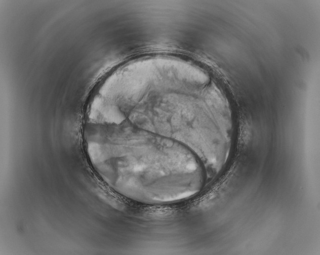 X0000110951314200907101259