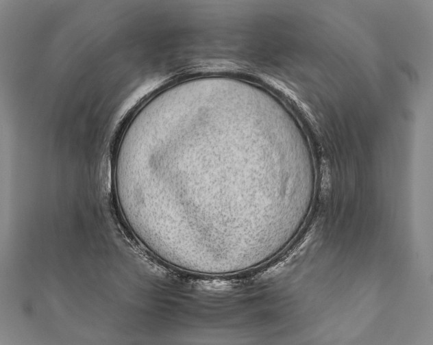 X0000110951317200907101259