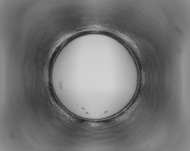 X0000110951318200907101259