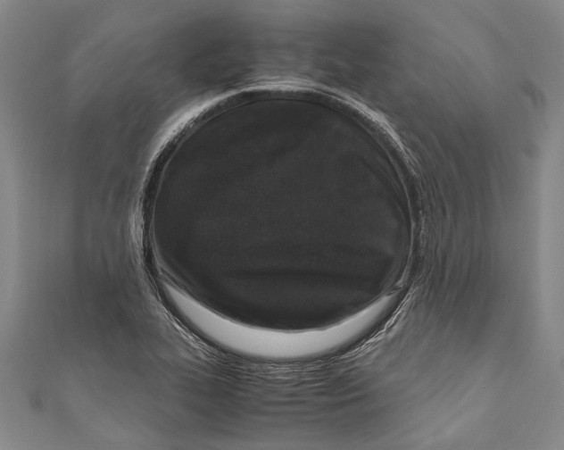 X0000110951319200907101259