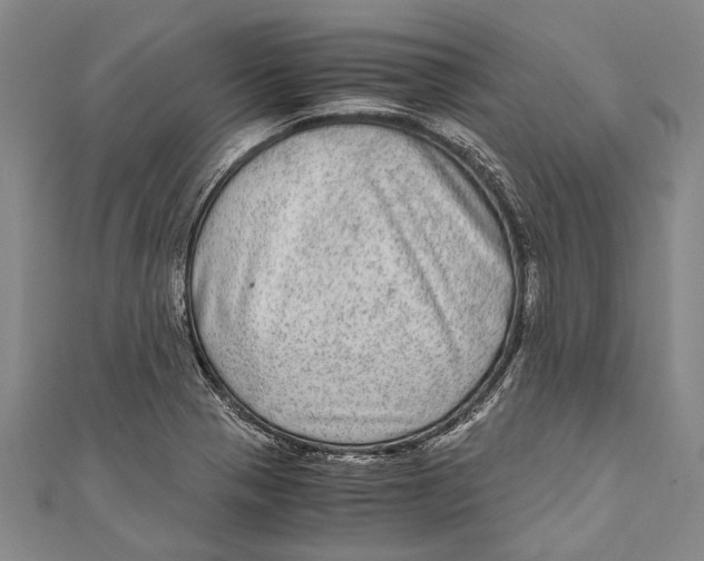 X0000110951321200907101259