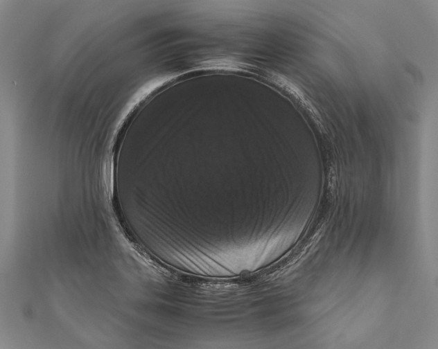 X0000110951323200907101259