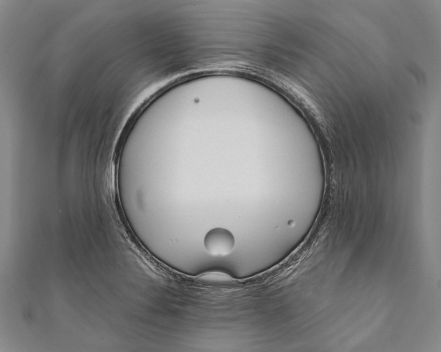 X0000110951324200907101259