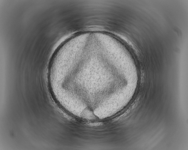 X0000110951325200907101259