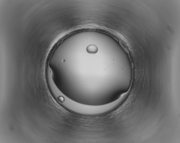 X0000110951326200907101259