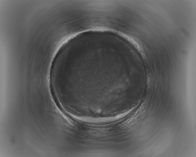 X0000110951327200907101259